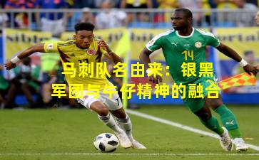 马刺队名由来：银黑军团与牛仔精神的融合